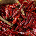 Red pepper millet pepper chilli dried chilli